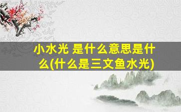 小水光 是什么意思是什么(什么是三文鱼水光)